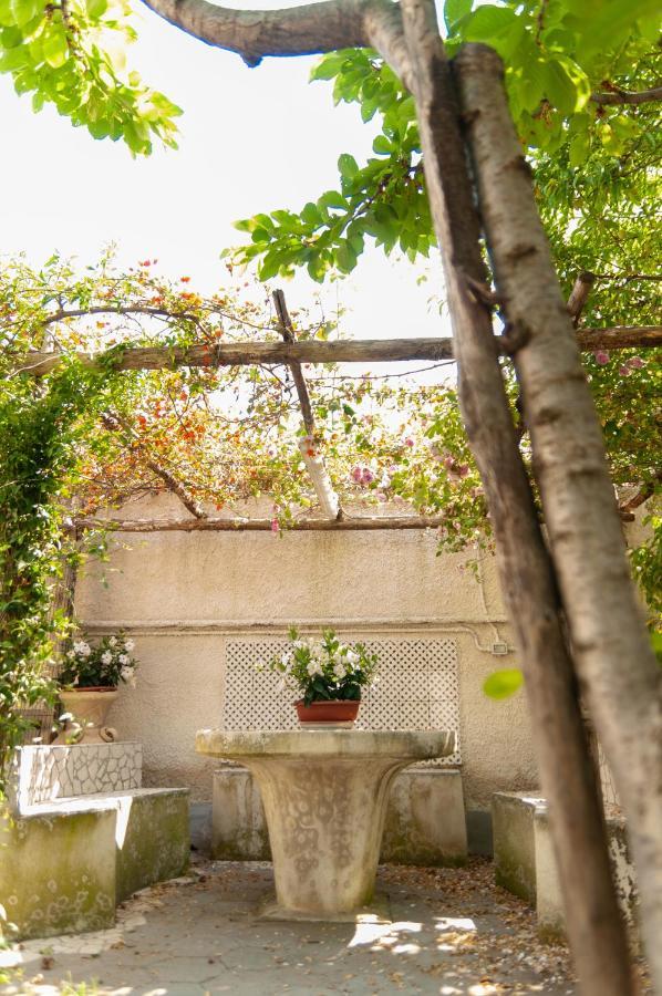 Casa Teresinella Garden Apartment Torre Annunziata Exterior foto