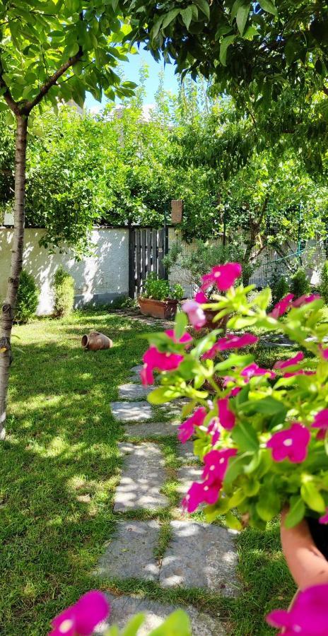 Casa Teresinella Garden Apartment Torre Annunziata Exterior foto